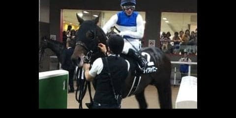 土曜東京１１Ｒ・メイＳはダイワキャグニーが昨年に続く連覇を達成