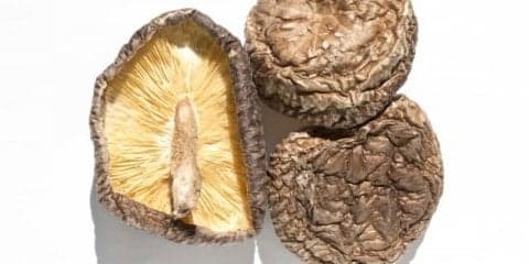 シイタケの驚くべき効果効能