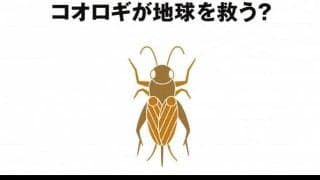 無印良品から“昆虫食”登場。「コオロギせんべい」を2020年春発売へ