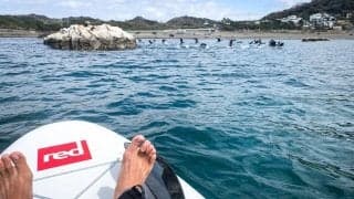 バルクヘッドマガジン編集部からお知らせです