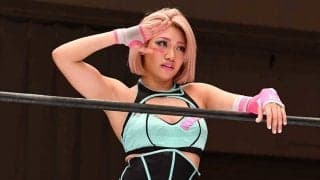 木村花さん急死　プロレス界のSNS問題を独メディア指摘「ほとんどの選手が直面」