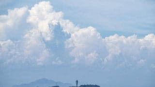 2020年7月8月関東470協会フリートレース日程発表