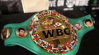 新設「ブリッジャー級」活性化へ　WBC会長が温めるプランは「下限体重の引き下げ」