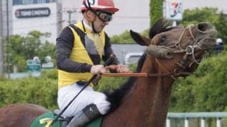 【かしわ記念】ルメール「きついコーナー合わない」カフェファラオは5着