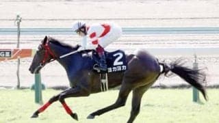 CBC賞は「小倉／芝1200ｍ」の成績を重視。種牡馬の実績も見て２頭に注目