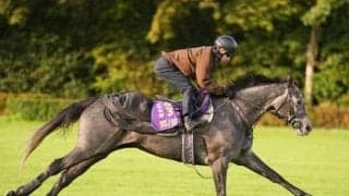 100回目の凱旋門賞で武豊か日本馬の初勝利なるか。相手は「チャンピオンクラスだらけ」の欧州馬たち