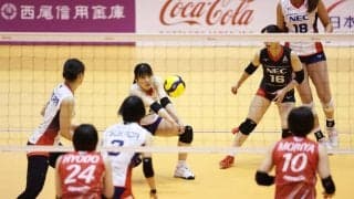 Vリーグの試合結果一覧と順位（V1男女・3月19日）