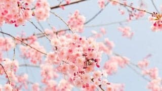 春は疲れやすいってホント？