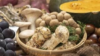 腸内フローラによい影響を与える「秋の食材」とは