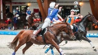 「馬術」×「球技」究極の人馬一体！ホースボール日本代表がワールドカップに初出場