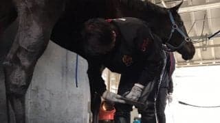 【装蹄師・西内荘コラム】京都競馬が再開