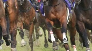 【キーンランドC】浜中「イメージに近い競馬が出来た」ナムラクレアが重賞4勝目
