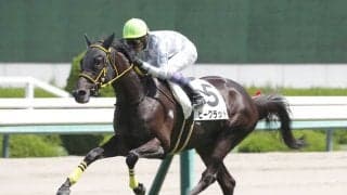 1歳世代にはダービー馬ドウデュース半弟がラインナップ！評価のほどは？期待の2歳馬は？--インゼルTCに聞く