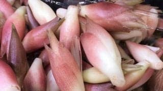 みょうがの効果、ご存知ですか？