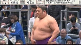 新入幕の“美脚力士”、脅威の勝率ほぼ9割 圧巻の筋肉美に「プロレスラーみたいな体」