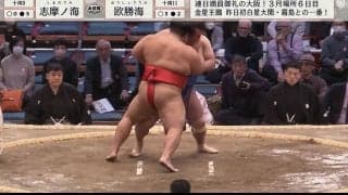 行司が“まわし待った”締め直した後も前まわしべろり…「え、これでほんまにOK？」ファンがざわつく珍事