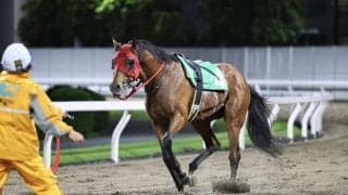 【川崎競馬】10Rで4頭が落馬…3名が病院へ搬送