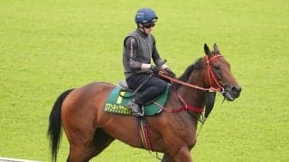安田記念で有力視されている香港馬２頭は、本当に勝ち負けを演じるほど強いのか