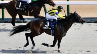 【青梅特別】グラウンドビートが3連勝…ルメール騎手は本日4勝目