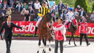 【コックスプレート】中内田師「勝った馬が強かった」プログノーシスは2着