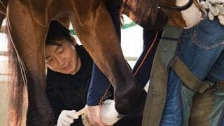 【装蹄師・西内荘コラム】新馬クイーンハピは好感触