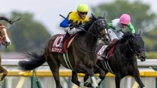 【フローラS】シュタルケ騎乗 カムニャックが快勝