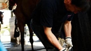 【装蹄師・西内荘コラム】函館への馬移動が本格化、新馬戦シーズンの幕開けも