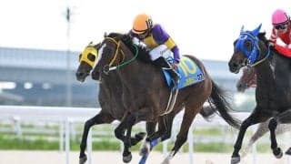 西塚＆松本が初戦V…YJSトライアル名古屋開幕