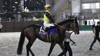 【ジャパンダートクラシック】佐々木大「右から左へ手前を替えるのが得意ではないです」帰国初戦のルクソールカフェは3着まで