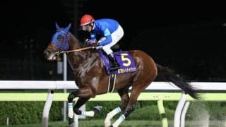 【ジャパンダートクラシック】戸崎「今後の走りにも期待」ナルカミが逃げ切って三冠阻止