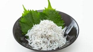 しらす干しの驚くべき効果効能
