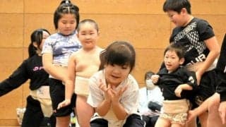 初心者歓迎、シコふんじゃって　相撲人口減少ストップへ無料の教室