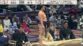 「ちょっとデカくない？」「モノが違う」大銀杏の“存在感”にファン驚き 身長194センチ十両力士の取組での一コマ