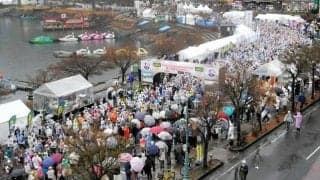 富士山マラソン、1万人超が力走　河口湖と西湖の湖畔コース
