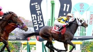 【競馬予想】波乱含みの有馬記念　穴党記者推奨の超大穴２頭がビッグな夢をもたらす!?