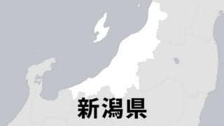 帝京長岡が準々決勝で涙、福岡第一にわずかに及ばず　高校バスケ