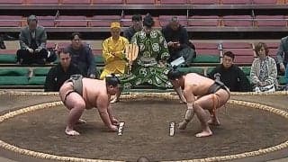 うわ、背中がバキバキだ 幕下力士、“筋肉の鎧”に「筋骨隆々」「細マッチョ」驚嘆の声