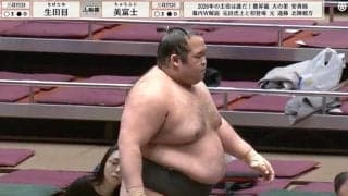 左膝の大けがで三段目に転落…3場所連続全休力士が“衝撃の復活劇” 無傷の4連勝勝ち越しに大歓声「待ってた…」