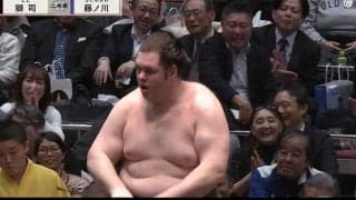 20歳の有望力士が吹っ飛ばされ“土俵から消えてった” 衝撃光景に「これで怪我しないのスゴい」「大事故やんけ」館内騒然
