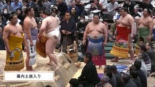あれ、人気力士の化粧まわしに著名人のイラストが… 幕内土俵入りでファン驚きの一コマ