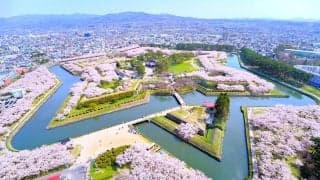 「花粉症だから春旅ムリ」はもう古い！約3割が旅行を断念する中、救世主は「北海道」だった？