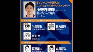 【ハイキュー‼×SVリーグ】小野寺瑛輝が選ぶベストメンバーは２ⅿ超のミドルがふたり 試合後の\"わかりみ\"が強い場面も語った