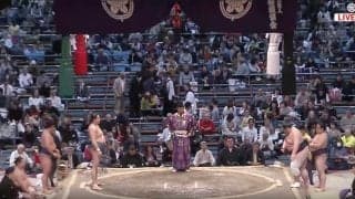 大相撲、向正面に“大物落語家”の飾らない姿 「一瞬一般人」「師匠」「ずっと右端に」ファンざわつく