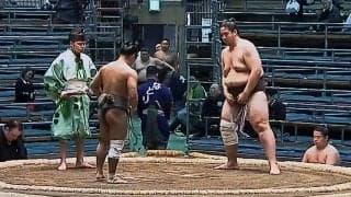 「うわ土俵のひび割れが…」驚きの光景にファン注目 見違える姿に「ツルンとしてる」