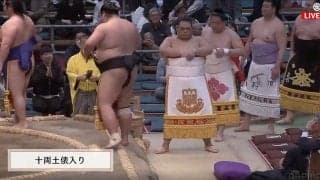 十両力士の「まわしの絵は何？？」　これなら今日も「だいじょぶだぁ」土俵入りで熱視線→白星飾る