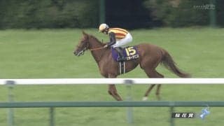 【桜花賞】2歳女王スターアニス勝利でG1レース2連勝！ レース開始が遅れるハプニングにも動じず