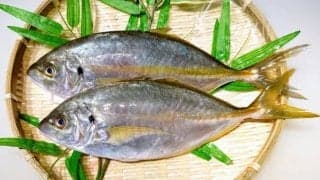 ダイエットに効果的とされる魚は？