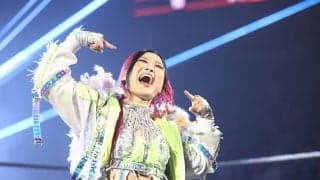 これだけ大人気なのに…世界的人気を誇る日本人女子レスラー、ファンサ“神対応”動画に「なぜ彼女が出場できないんだ」複雑な声
