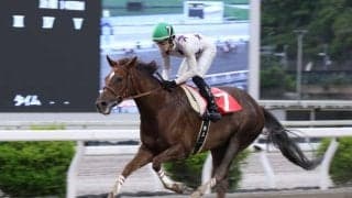 【高知・スピカ特別】スカンジナビアが7馬身差圧勝…高知転入後無傷の6連勝