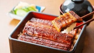 うなぎの驚くべき効果効能
